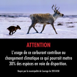 square-cards_4x4_caribou(french)